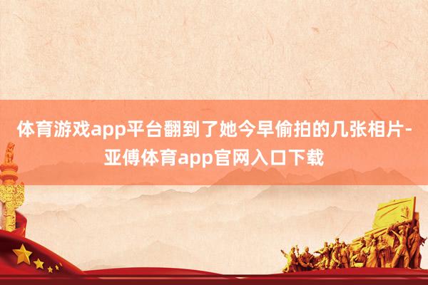 体育游戏app平台翻到了她今早偷拍的几张相片-亚傅体育app官网入口下载