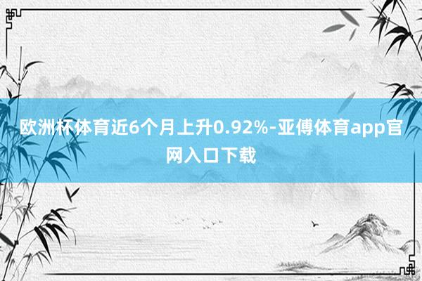 欧洲杯体育近6个月上升0.92%-亚傅体育app官网入口下载
