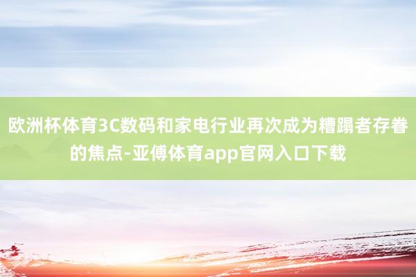 欧洲杯体育3C数码和家电行业再次成为糟蹋者存眷的焦点-亚傅体育app官网入口下载