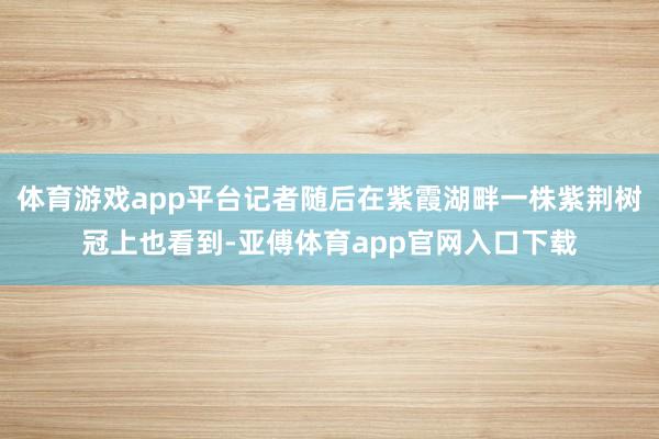 体育游戏app平台记者随后在紫霞湖畔一株紫荆树冠上也看到-亚傅体育app官网入口下载
